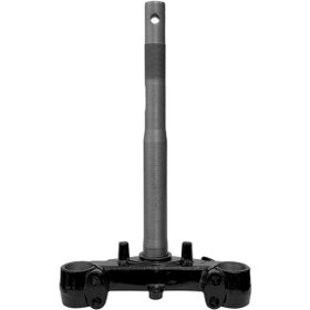 Resim Kuba Zenzero Alt Platin 