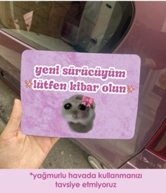 Resim Elioure Üzgün Hamster Pembe Araba Magneti 