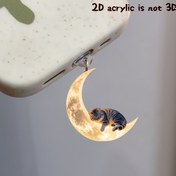 Resim 1 adet Sevimli Ay Kedi Akrilik Toz Tutucu Fiş, iPhone ve Type-C Android Şarj Portu Koruyucu ile Uyumlu 