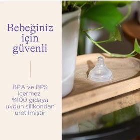 Resim Lansinoh Natural Wave 2'li Biberon Emziği Orta Akış - Standart / Standart 