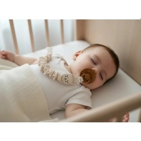 Resim Babyjem Bürümcüklü Emzik Askısı Somon 