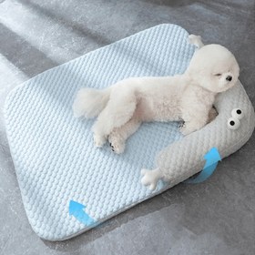 Resim Paw Portal Soğutucu Mat 