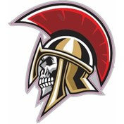 Resim 75 X 85 Mm Sticker 10'lu Çok Renkli 