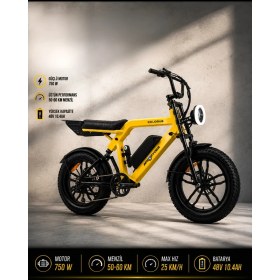 Resim Ape Ryder Colobus Premıum 750W - Sarı 