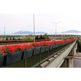 Resim Köprü Korkuluk Saksısı 