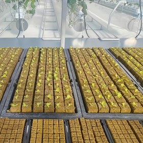 Resim 100/200/400 adet pakette, Mini Sıkıştırılmış Taban Pratik Taş Küpleri Çok Fonksiyonlu Medya Blokları Bahçe Hidroponik ve Toprak Olmadan Yetiştirme için (Partikül Boyutu 2.49*2.49*2.49 cm) 