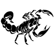 Resim Akrep Sticker Duvar Dekor Sticker 40 X 28 Cm 