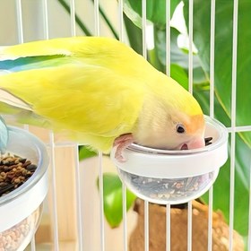 Resim Su Kaplı Akrilik Kuş Besleyici - Küçük Kuşlar İçin Asılı Besleyici, Pil Gerektirmez, Temizlemesi Kolay, İç Mekan veya Dış Mekan Kullanımı İçin Mükemmel, İç Mekan Kuş Besleyici | Modern Kuş Besleyici | Dayanıklı Kuş Besleyici 