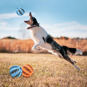 Resim Mama Hazneli Köpek Eğitim Ve Oyun Topu 