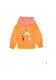 Resim U.s. Polo Assn. Kız Çocuk Sweatshirt 50317906-vr244 Mango 
