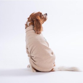 Resim Bej Teddywood Ayıcık Nakışlı Esnek Sıcak Tutan Köpek Sweati Köpek Kıyafeti Kedi Kıyafeti 