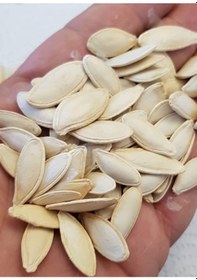 Resim AGRodal Tarım Doğal Çerezlik Kabak Çekirdeği Ürgüp Hanım Tırnağı Tohumu 20 Ad 