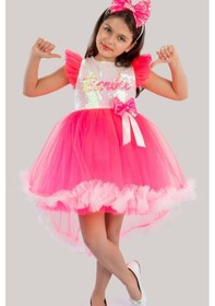 Resim Kız Çocuk Elsa Barbie Doğum Günü Ve Parti Elbises İ Pembe 