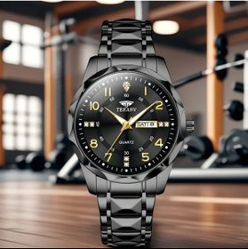 Resim POEDAGAR TERANV Luminous Paslanmaz Çelik Lüks Erkek Kol Saati 