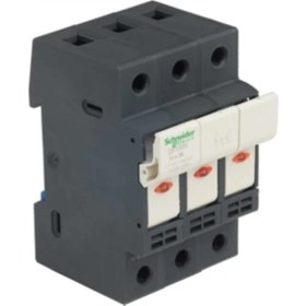 Resim Schneider Electric DF103 10X38 Kartuş Sigorta Yuvası 