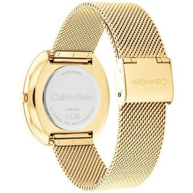 Resim Calvin Klein CK25200246 Kadın Kol Saati 