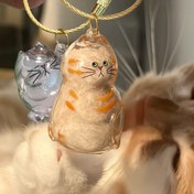 Resim 1 Takım 3 Adet Şeffaf Kedi Tüyü Saklama Kapsülü, Asma Halkalı Sevimli Kedi Şekilli Anı Kutuları - Evcil Hayvan Severler ve Sevdikleriniz İçin Mükemmel Hediye, Pet Aksesuarları 