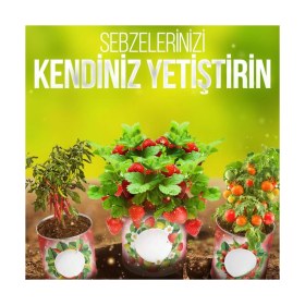 Resim Konserve Bahçem Evde Konservede Fındık Turp Yetiştirme Kiti 