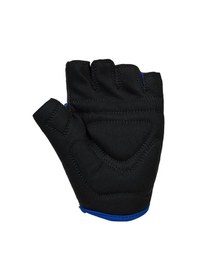 Resim Asistan Cape Gl 200 Kısa Parmak Eldiven Large - Mavi 