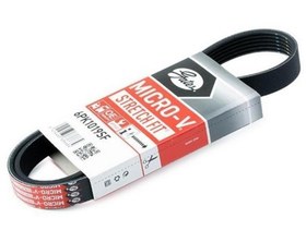 Resim Ford Fiesta 2012-2018 1.6 Benzinli V Kayısı Gates Marka 2S6E6D314AD 