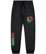 Resim Erkek Çocuk Dino Fun Baskılı Cepli Eşofman Altı Füme 