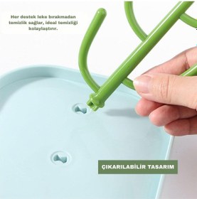 Resim Biberon Kurutma Standı Kaktüs Tasarımlı Biberon,emzik,aksesuar Kurutmalığı Bpa İçermez Gri 