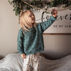 Resim Hayvanlar Alemi Kapitone Sweatshirt - BEBEK / Yeşil / 0-3 Ay 