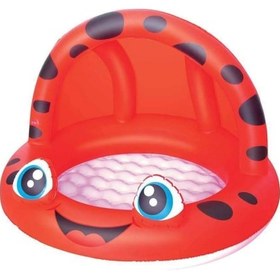 Resim Uğur Böceği Desenli Gölgelikli Bebek Çocuk Havuzu 97x66 Cm 52189 Çok Renkli 