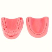 Resim 2/4/10 Adet Silikon Periodontitis Sütür Eğitim Seti, Diş Hekimliği Öğrencileri İçin Oral Gingival Sütür Uygulama Modeli, Gingival Cilt Sütür Eğitim Modülü, Diş Hekimliği Öğrencisi Uygulama Araçları ve Aksesuarları 