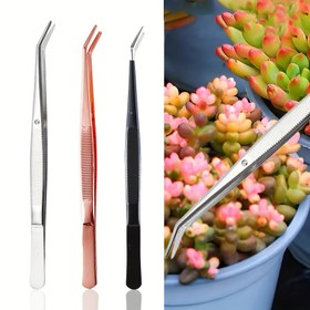 Resim Dişli Uçlu Paslanmaz Çelik Cımbız, Sukulent Bakımı, Laboratuvar Çalışmaları, Parçalar, El Sanatları, Dikiş Makineleri, Projeler, Ağız Hijyeni, Dil Temizleme, Dış Mekan Kişisel Bakım, Doğa Yürüyüşü Ekipmanları, Medikal Cımbız, Cerrahi Aletleri/cımbızlar, Pinset, Cerrahi Aletleri, Cerrahi Cımbız, Medikal Alet, Medikal İçin Cımbız, Diş Hastalıkları Laboratuvarı Ekipmanları, Cımbız Seti, Hassas Cımbız, El Sanatları İçin Cımbız, Kimya Laboratuvarı Ekipmanları, İş Cımbızı 