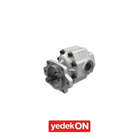 Resim 30 Serisi Sae Platinum Dişli Pompalar 