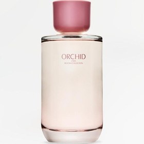 Resim Zara Orchıd Edp 180 Ml 6.08 Fl. Oz . İndirimsehri Amber - Çiçeksi 