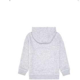 Resim U.S. Polo Assn. Erkek Çocuk Açık Gri Melanj Kapüşonlu Sweatshirt 50313842-VR091 