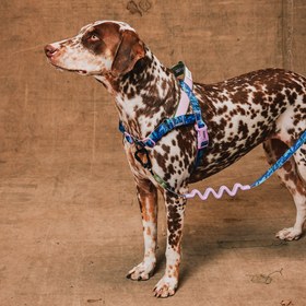 Resim Reebok x Zee.Dog Trekk Softer Walk Göğüs Tasması - L 