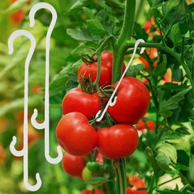 Resim J Şeklinde Domates Askısı - 20/40/60 Adet 