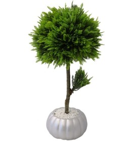 Resim Dekoratif Lüx Top Çam Ağacı 30x60 Cm Gümüş Saksı 