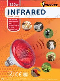 Resim İnfrared ISITICI AMPUL LAMBA KIRMIZI 250 WATT / 2 ADET 