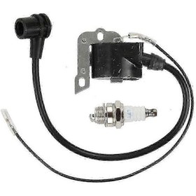 Resim Ateşleme Bobini Modülü 50, 51, 55, 61, 254, 257, 261, 262, 266, 268, 272 Testere Jonsered 2054 Epa 2055, 2095 - Huiliang 