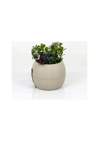 Resim Mercan Saksı 11.5x12 Cm 0.70 Lt 1 