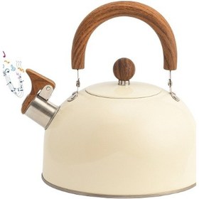 Resim Paslanmaz Çelik Demlik Karma Renk Diğer 