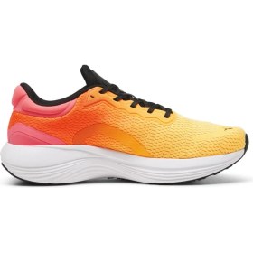 Resim Puma Scend Pro Erkek Yol Koşusu Ayakkabısı 