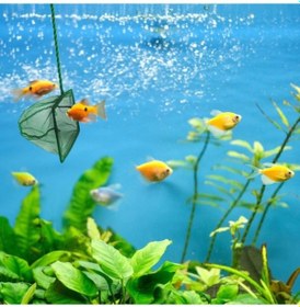 Resim Büro Ev Akvaryumu İçin 7,5cm Mini Balık Kepçesi 