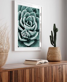 Resim Yeşil Sukulent - Art Print - Photo Pearl / 30x40 cm 