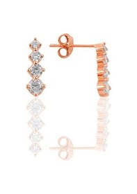 Resim Gümüş Rose Zirkon Taşlı Işıltılı Ikili Set 