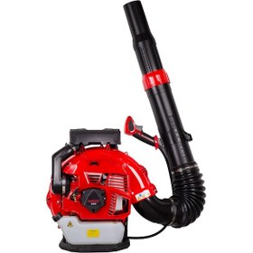 Resim Palmera EB995 Eur5 Sırt Tipi 5.65Hp Benzinli Üfleme Makinesi 