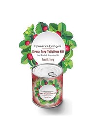 Resim Büro Ev Yazlık İçin Fındık Turp Konservede Yetiştirme Tohum Kiti 