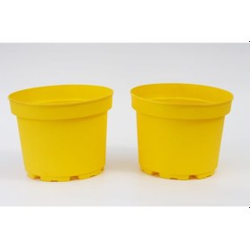 Resim Sarı Limon Saksısı 3 Adet ( 3 Litre ) 