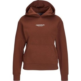 Resim Erkek Çocuk Kapüşonlu Sweatshirt Kahve 