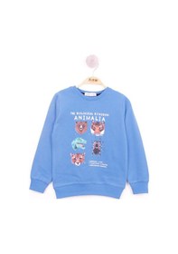 Resim Toontoy Kids Toontoy Erkek Çocuk Relax Fit Bisiklet Yaka Animal Baskılı Sweatshirt - 2 İplik Saks 