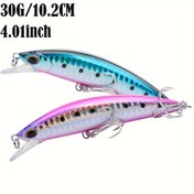 Resim Kurşun Blok Süper Uzun Atış Mino Yeni Ürün Yem 30G/10.2cm Sahte Yem Batan Sert Yem Balıkçılık Ekipmanı Bass Kanca 